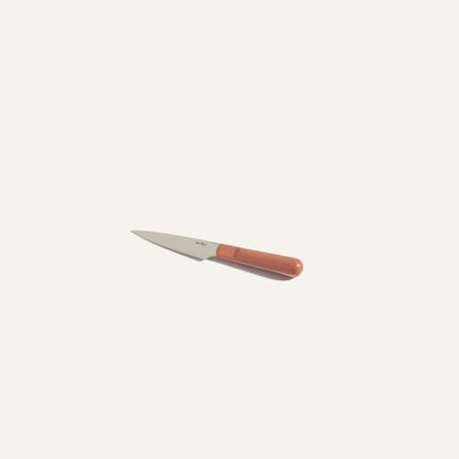 Precise Paring Knife